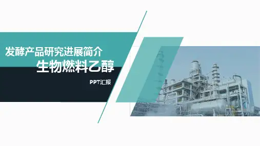 PPT汇报 生物燃料乙醇研究进展简介