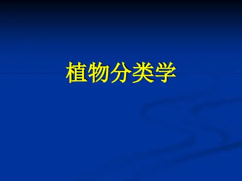 植物分类学藻类概述