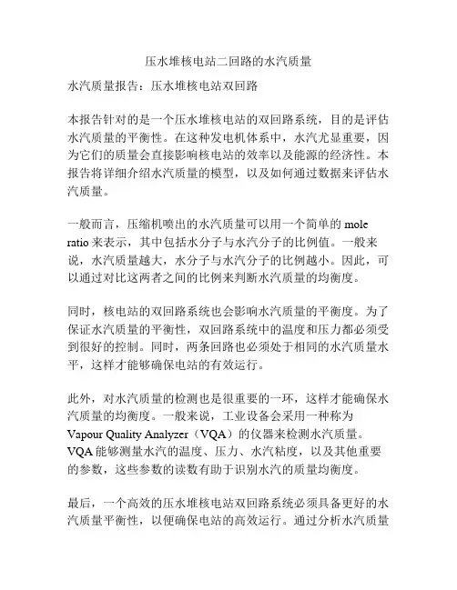 压水堆核电站二回路的水汽质量