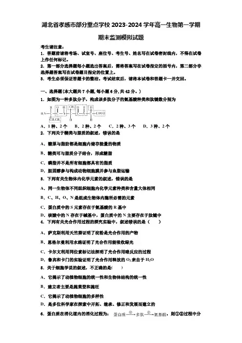 湖北省孝感市部分重点学校2023-2024学年高一生物第一学期期末监测模拟试题含解析