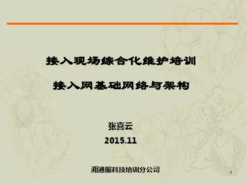 接入网基础网络与架构