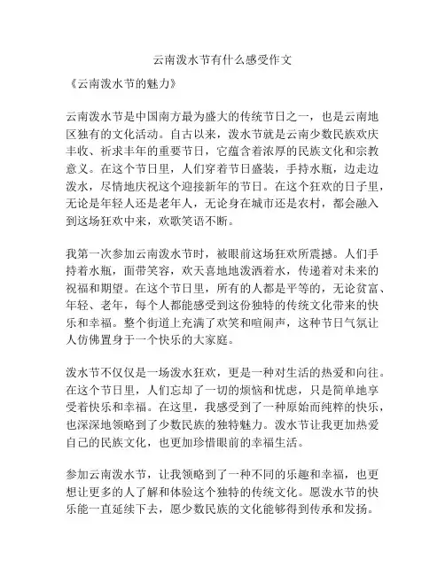 云南泼水节有什么感受作文