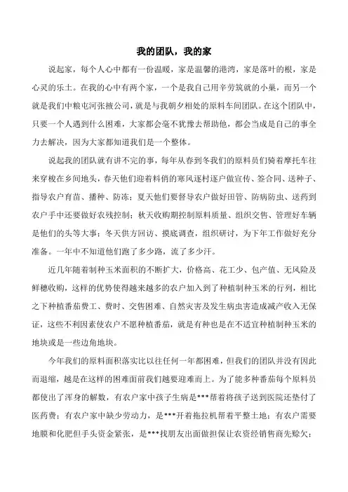 我的团队我的家