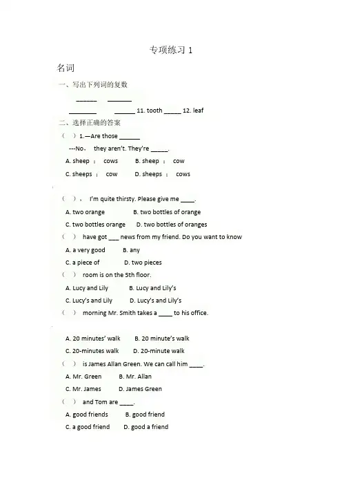 1名词、代词、形容词、副词专项练习