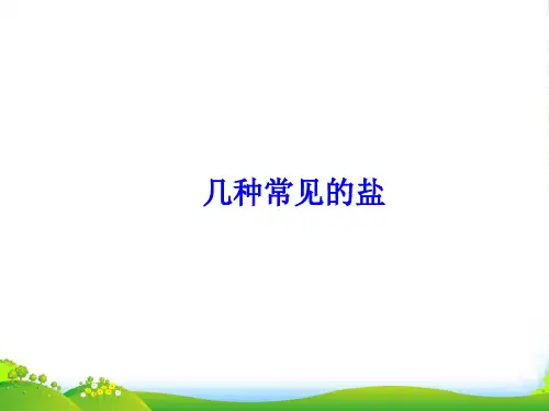 【冲刺中考】中考化学难点突破专题04 几种常见的盐课件