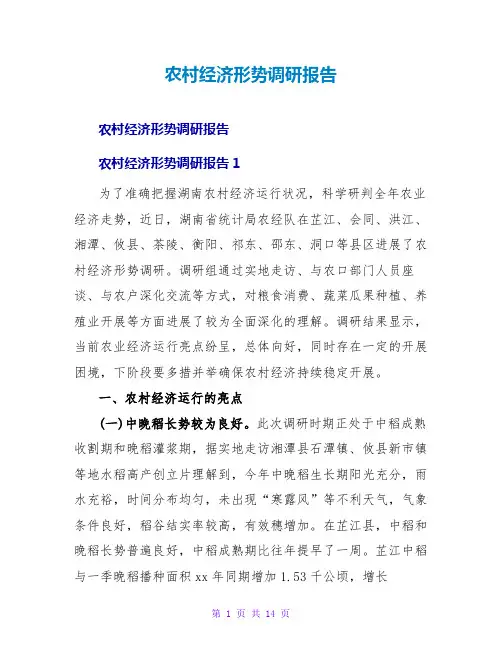 农村经济形势调研报告