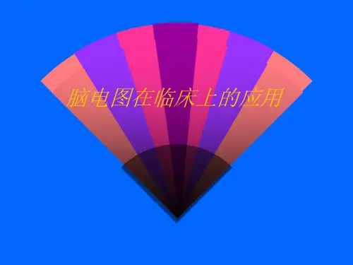 脑电图基本知识(251页)