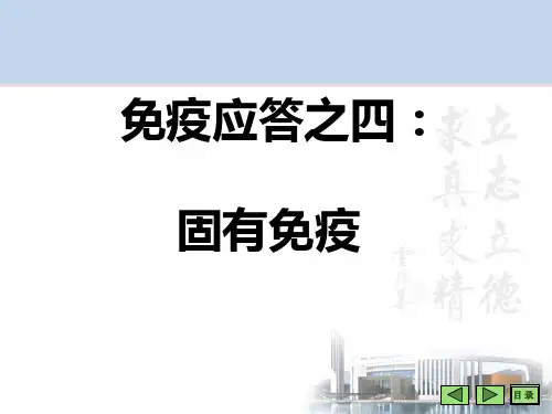 固有免疫与黏膜免疫PPT课件