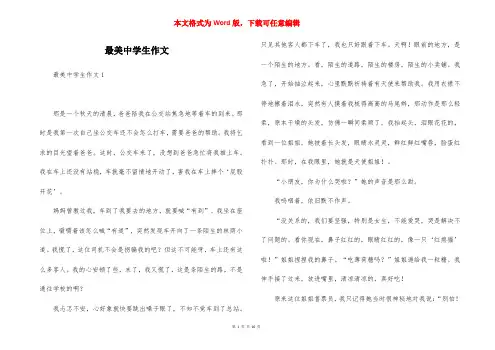 最美中学生作文