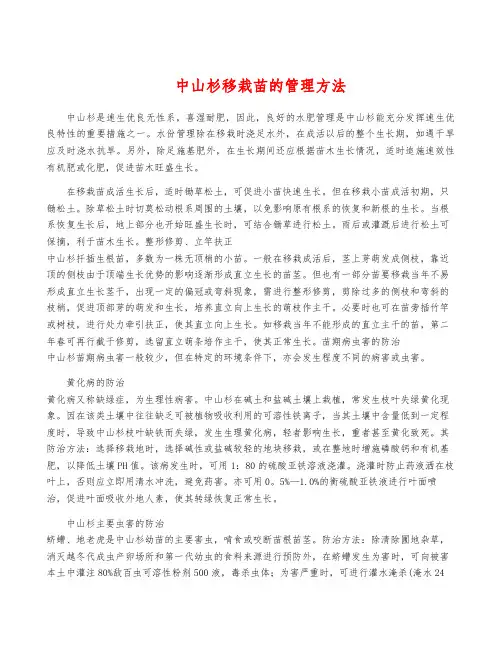 中山杉移栽苗的管理方法