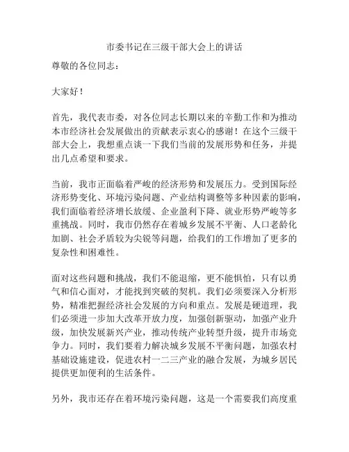 市委书记在三级干部大会上的讲话