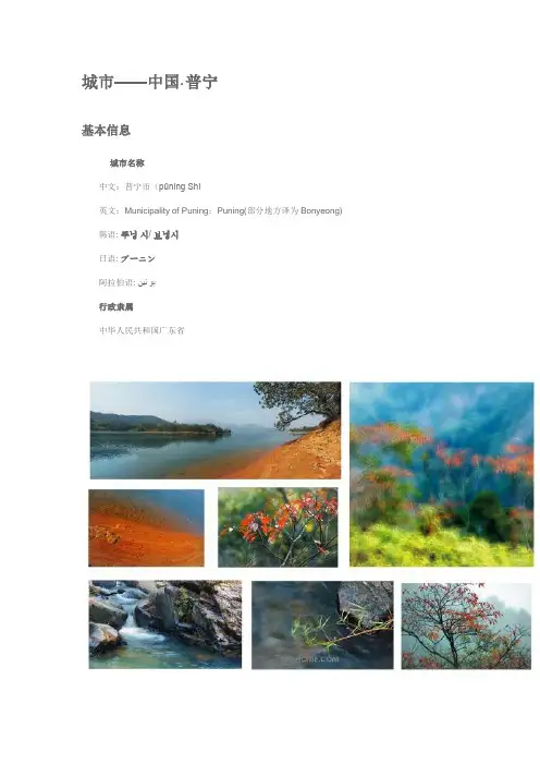 普宁市简介