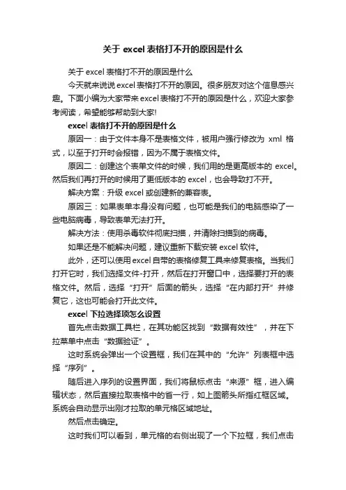 关于excel表格打不开的原因是什么