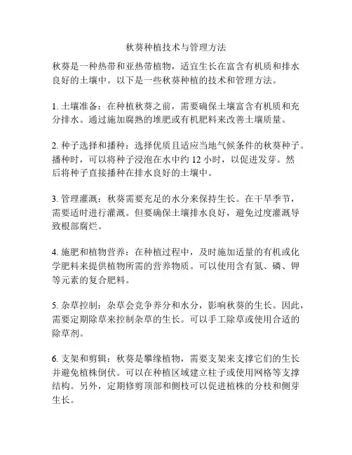 秋葵种植技术与管理方法