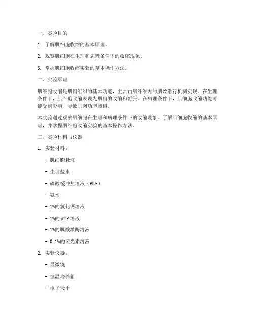 肌细胞收缩实验报告