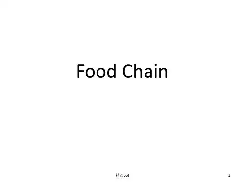 食物链_英文版_Food_chainppt课件