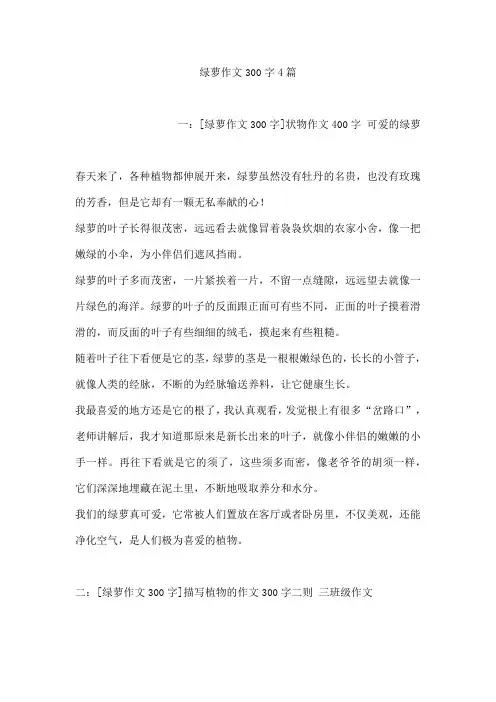绿萝作文300字4篇