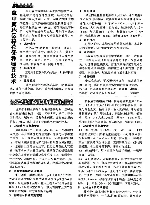盐碱地水稻管理技术
