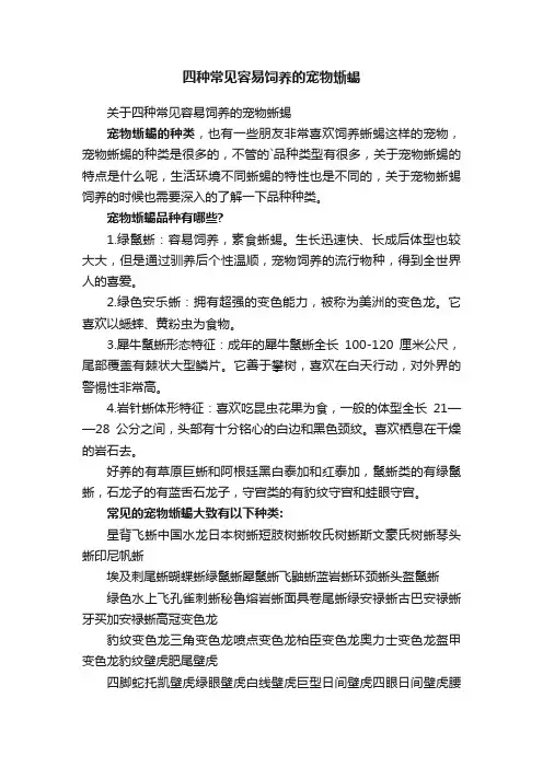 四种常见容易饲养的宠物蜥蜴