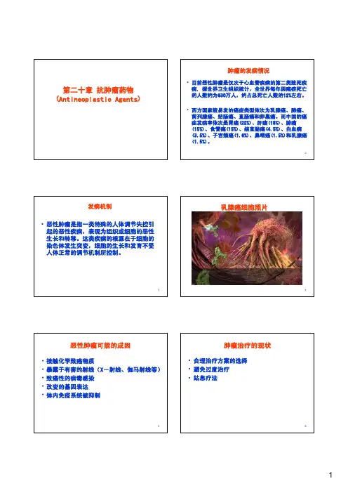 第20章 抗肿瘤药物(20120411-XS)