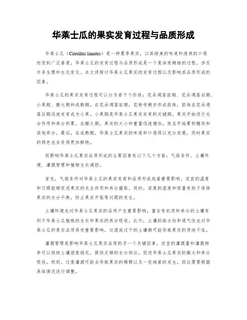 华莱士瓜的果实发育过程与品质形成
