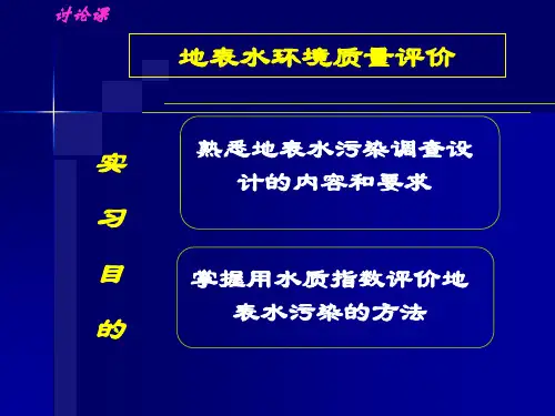 地表水环境质量评价