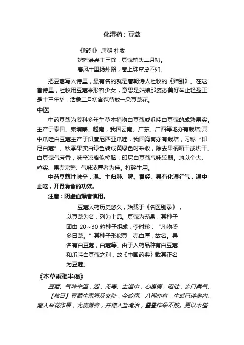 化湿药：豆蔻