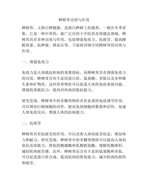 桦树茸功效与作用