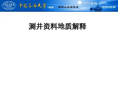 测井地质解释