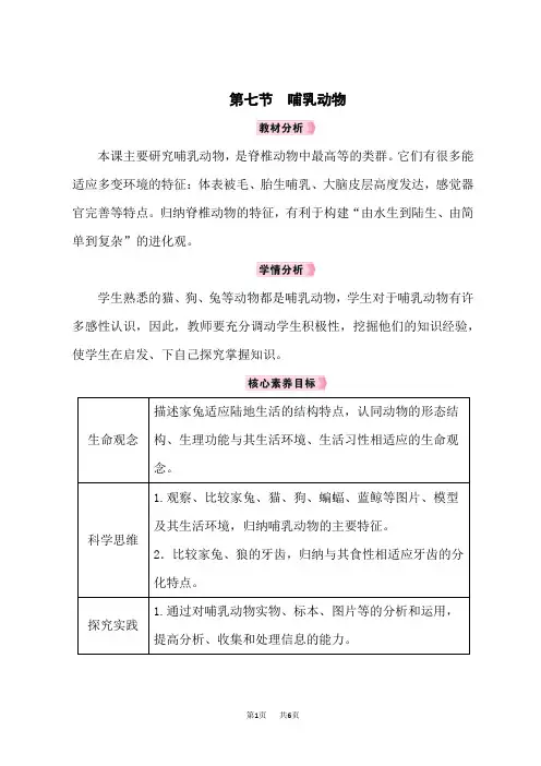 人教版八年级生物RJ上册教案 第五单元 生物圈中的其他生物 第1章 动物的主要类群 第7节 哺乳动物