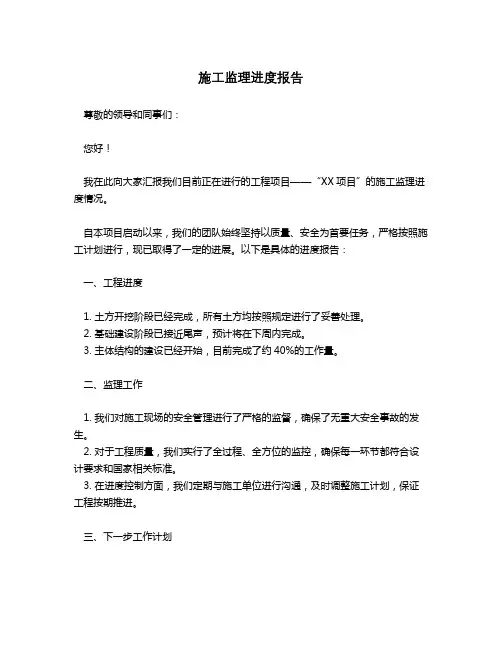 施工监理进度报告