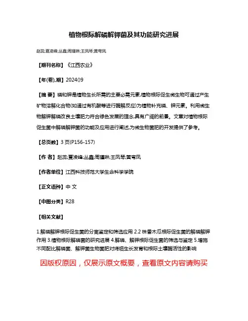 植物根际解磷解钾菌及其功能研究进展