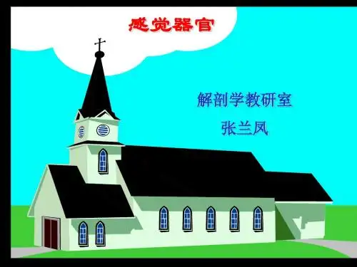 《感觉器官》ppt课件