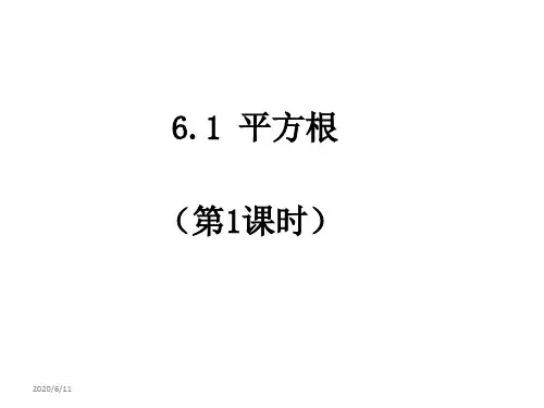 人教版七年级数学下册精品课件 第六章 《6.1 平方根》课件1