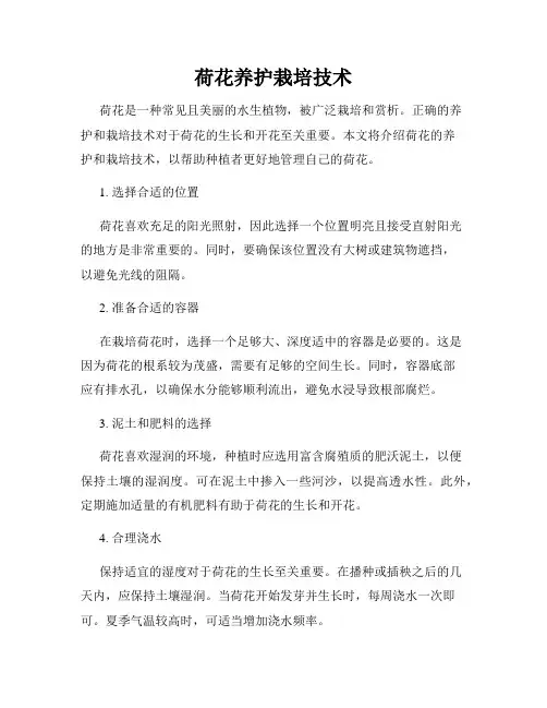 荷花养护栽培技术
