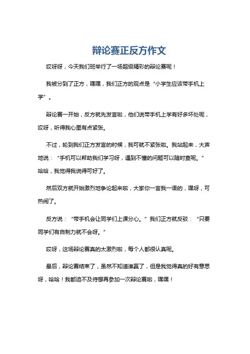 辩论赛正反方作文