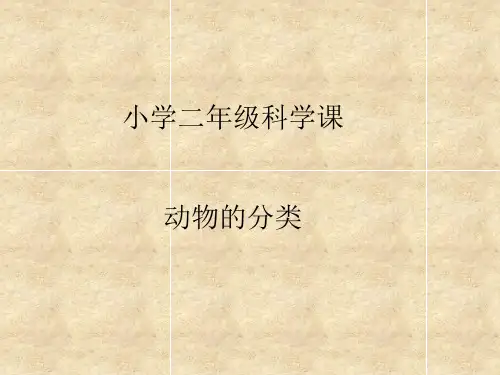 二年级科学《动物的分类》课件