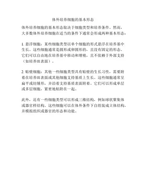 体外培养细胞的基本形态