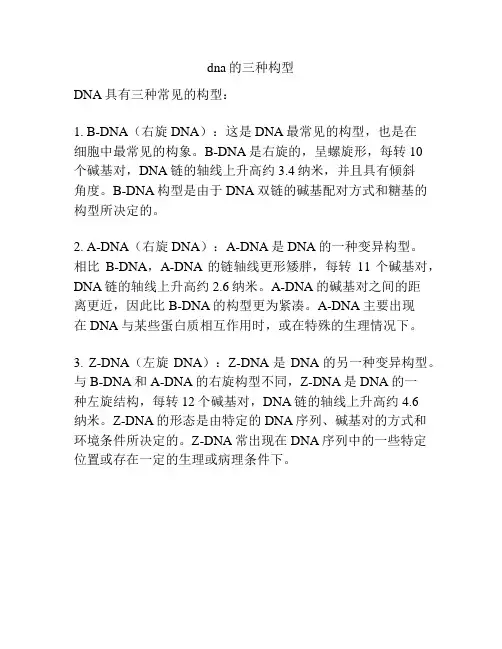 dna的三种构型