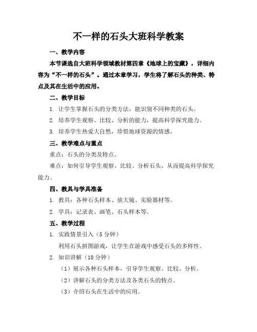 不一样的石头大班科学教案