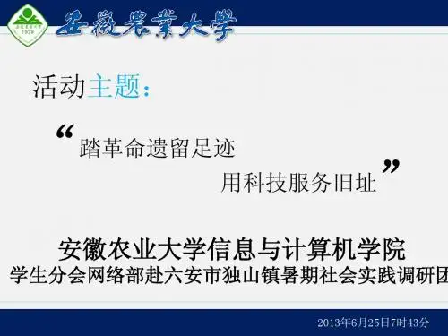 三下乡PPT汇报