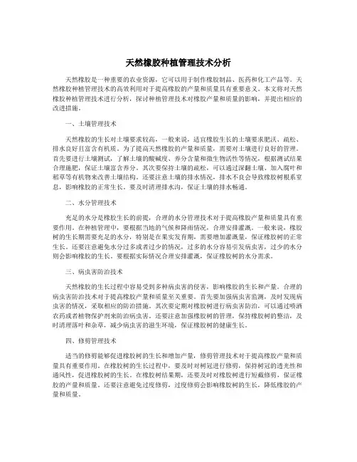 天然橡胶种植管理技术分析