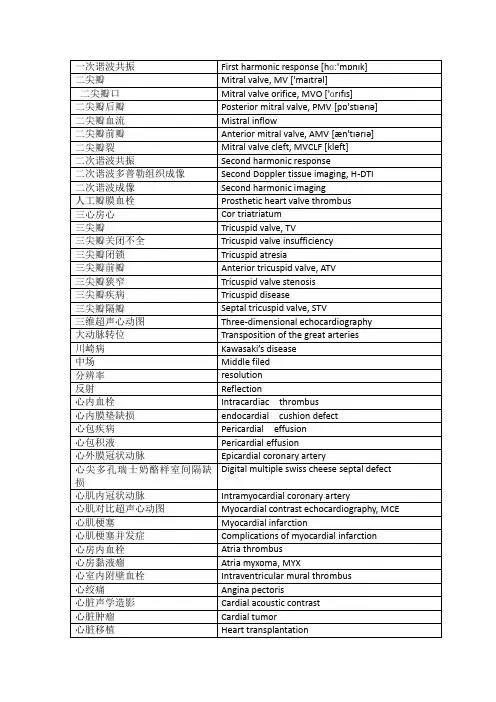 (完整版)心脏超声中英文对照词汇