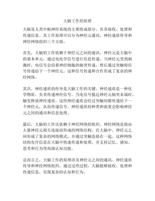 大脑工作的原理