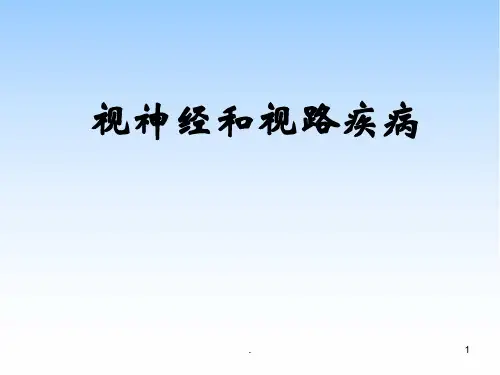 (推荐课件)视神经和视路疾病PPT幻灯片