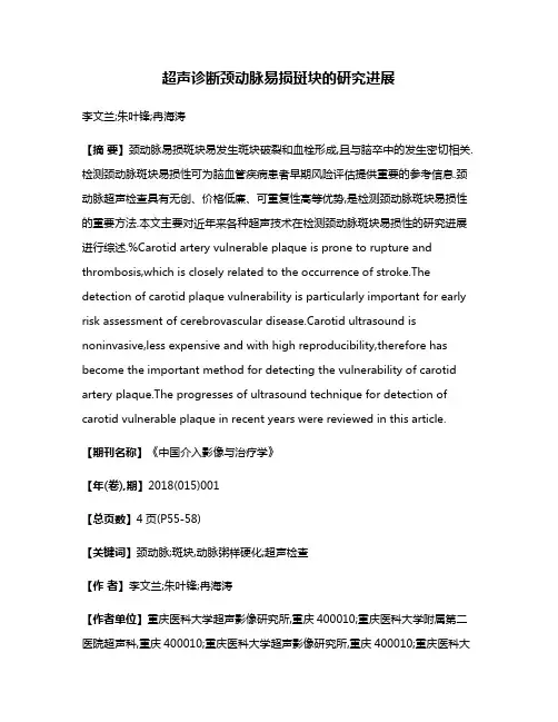 超声诊断颈动脉易损斑块的研究进展