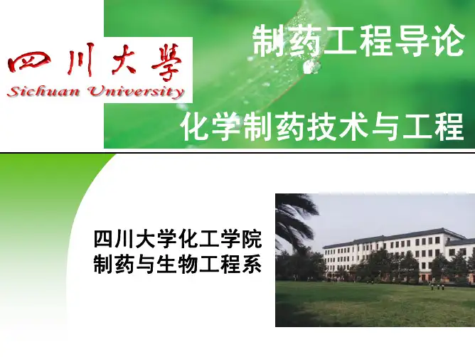 制药工程导论化学制药技术与工程.pdf