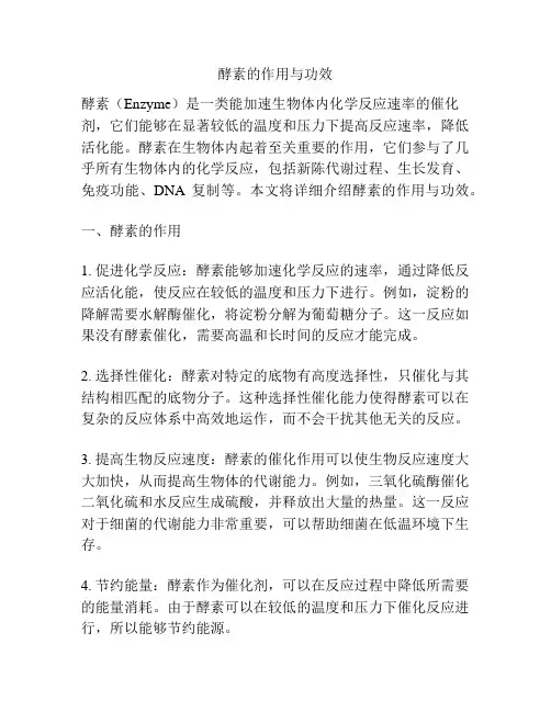 酵素的作用与功效