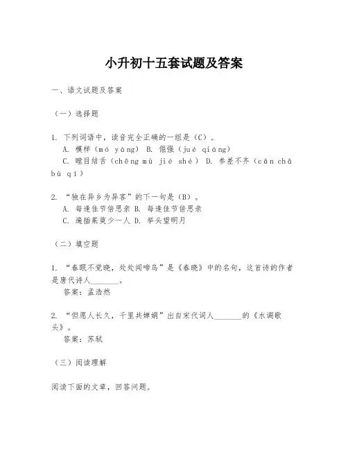 小升初十五套试题及答案