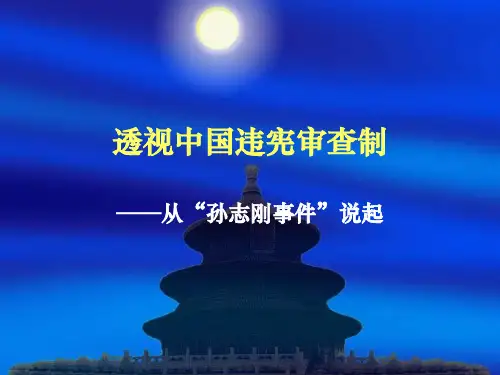 违宪审查案例分析